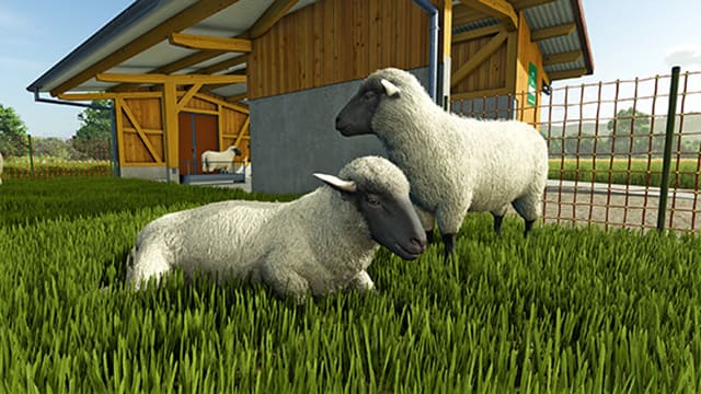 ゲーム画面01:Farming Simulator 25