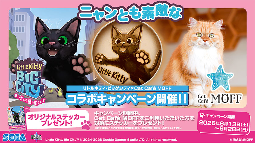 Cat Café MOFF