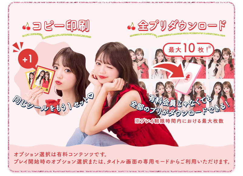 オプション選択サービス