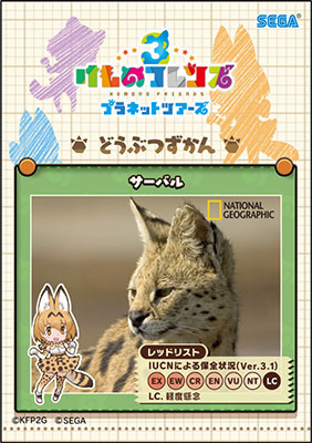 カード装入イメージ